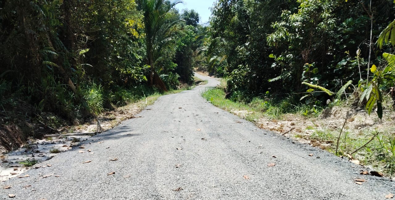 Menaik taraf Jalan Pertanian 